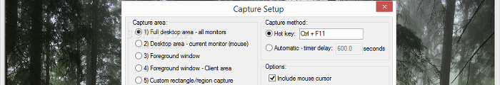 Showing the IrfanView settings for capturing images